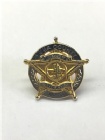 pins